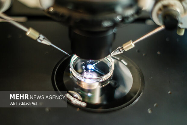 زمانی که جنین روی قطره قرار می گیرد، متخصص مربوطه با میکروسکوپ های مخصوص که قدرت لنزهای بالایی دارند، اسپرم مربوطه را وارد جنین می کنند