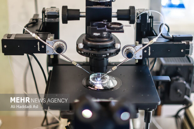 در این میکروسکوپ ها دو بازوی الکترونیکی وجود دارد که سوزن های ریزی به آن وصل شده تا بتوانند اسپرم را درون به درون سوزن بکشند