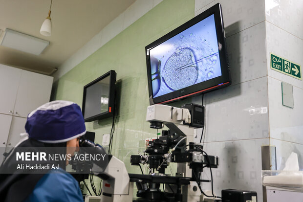 در این لحظه متخصص مربوطه به وسیله بازوهای الکترونیکی و سوزن های متصل به آن، اسپرم را در جنین بارگزاری می کند.