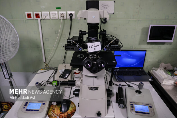 مرکز درمان ناباروری