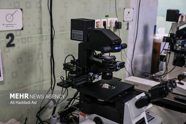 قبل از اینکه اسپرم ها درون سوزن می روند آنها را بی حرکت ساخته تا بتوانند به راحتی اسپرم قوی تر و تازه تر را در داخل جنین قرار دهند