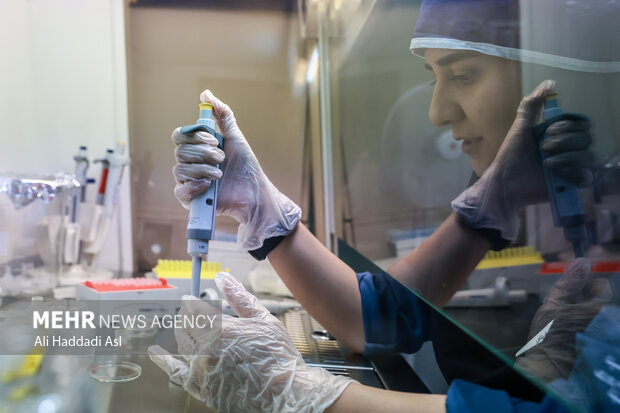 در ابتدا متخصص قطرات را آماده کرده و آنها را روی ظروف خاصی نگهداری می کنند و برای سالم ماندن آنها در مخزن کشت فریز می شوند