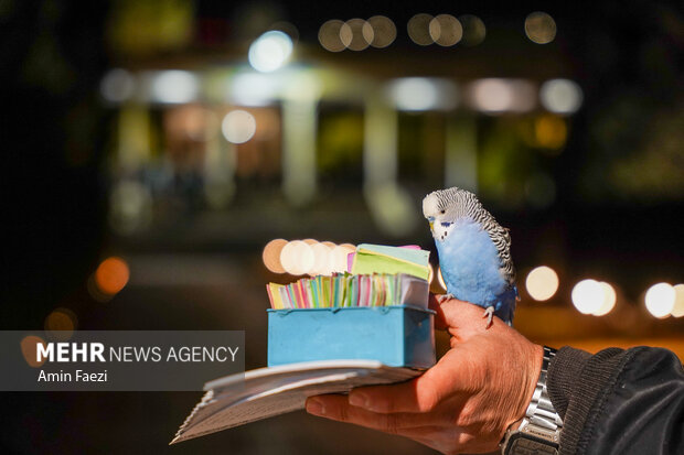 شب یلدا در آرامگاه حافظ