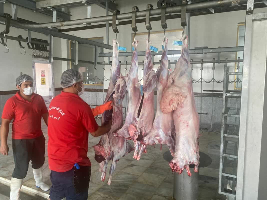 زنجیره سرد گوشت تا دورترین شهرستان‌های استان بوشهر
