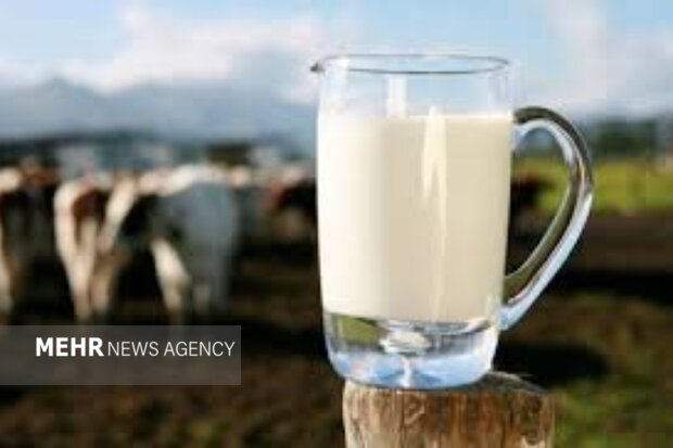 قیمت شیر خام ۲۹ هزار و ۵۰۰ تومان شد؛گرانفروشی ممنوع