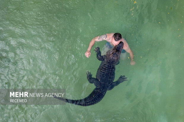 ۲۰۲۵ از بالا: بهترین عکس‌های هوایی سال