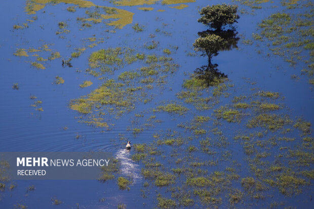 ۲۰۲۵ از بالا: بهترین عکس‌های هوایی سال