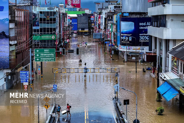 ۲۰۲۵ از بالا: بهترین عکس‌های هوایی سال