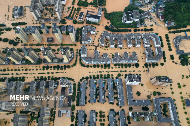 ۲۰۲۵ از بالا: بهترین عکس‌های هوایی سال