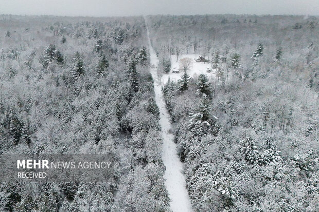 ۲۰۲۵ از بالا: بهترین عکس‌های هوایی سال