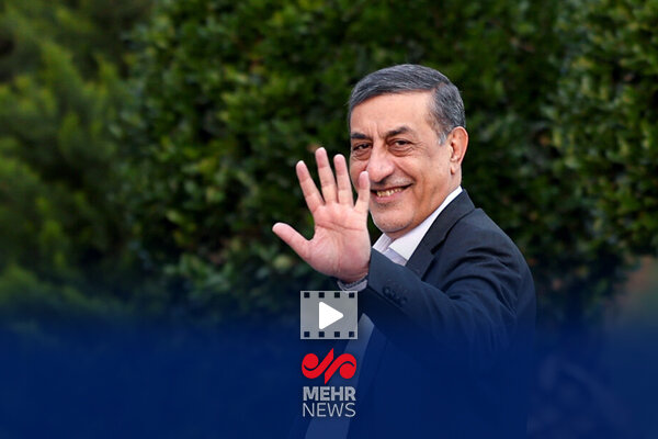 شعرخوانی معاون اجرایی رئیس‌جمهور برای پزشکیان