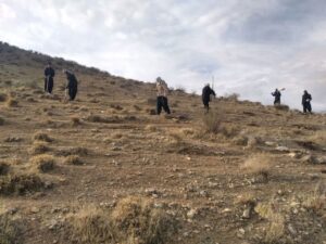 آغاز عملیات کپه‌کاری برای احیای مراتع اسلام‌آبادغرب