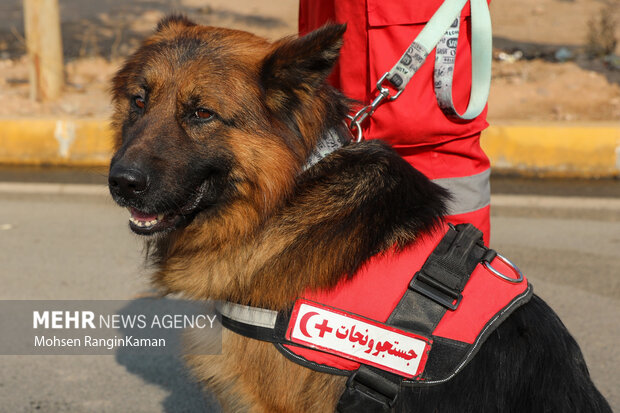 رزمایش امداد و نجات در شرایط بحران