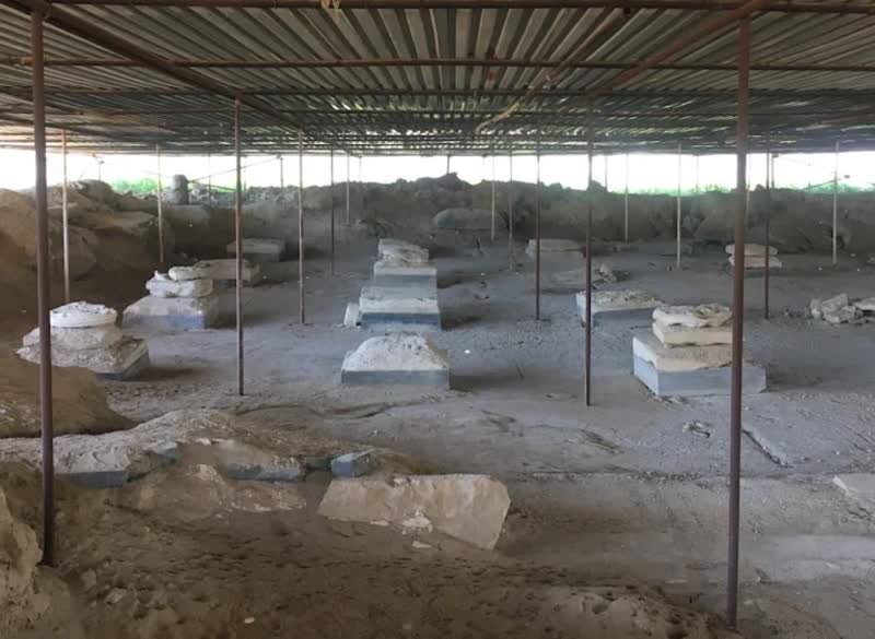 مشاور وزیر میراث فرهنگی: زیرساختهای کاخ بردک سیاه دشتستان تقویت میشود