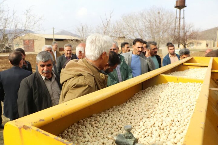 برگزاری رویداد «روز مزرعه کشت مکانیزه نخود انتظاری» در خرم‌آباد