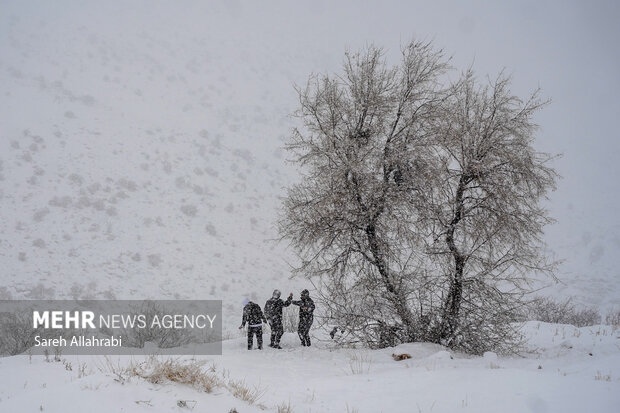 مسدود شدن راه ارتباطی سروآباد-اورامان-پاوه به دلیل بارش برف