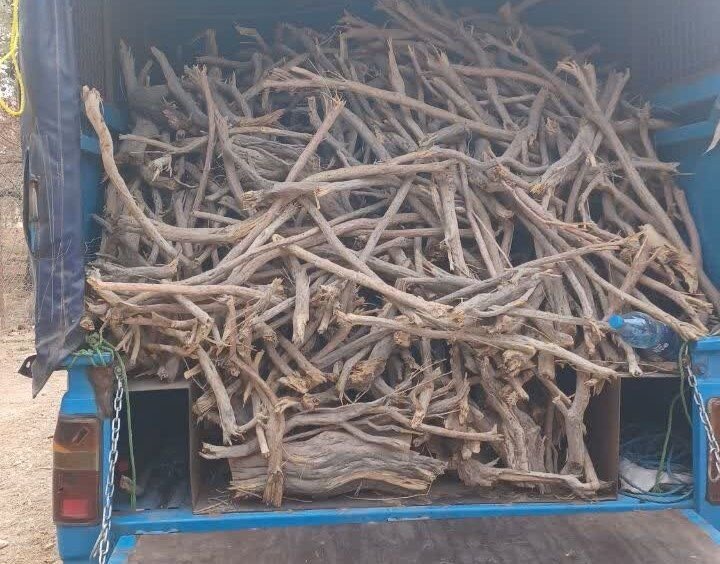 کشف ۲ میلیارد ریال چوب و ذغال قاچاق در کرمانشاه