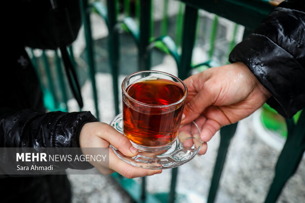 از چایخانه حضرت رضا(ع) تا مدار زمین