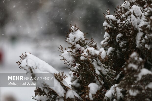 یخبندان صبحگاهی در استان البرز/ احتمال بارش خفیف و پراکنده باران و برف