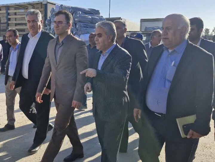 فرماندار تنگستان: تخلیه و ترخیص بار لنج‌ها در تنگستان تسریع شود