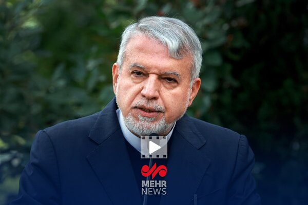 صالحی امیری: کشتی بخشی از هویت ۳۰۰۰ ساله ایرانیان است